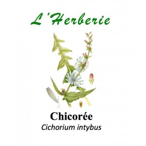 https://www.lherberie.com/2845-thickbox/chicoree-racine-100gr.jpg