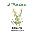 CHICOREE RACINE 100GR