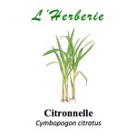 CITRONNELLE 100GR