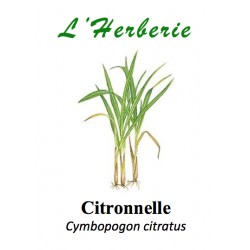 CITRONNELLE 100GR