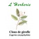 CLOUS DE GIROFLE 100GR