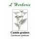 CUMIN GRAINES ENTIERES 100GR