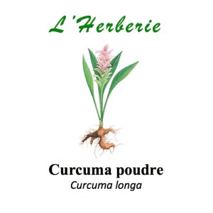 https://www.lherberie.com/2855-thickbox/curcuma-poudre-100gr.jpg