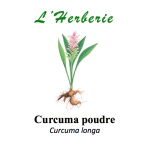 https://www.lherberie.com/2855-thickbox/curcuma-poudre-100gr.jpg