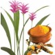 CURCUMA POUDRE 100GR