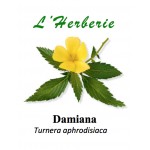 DAMIANA FE CP 100GR