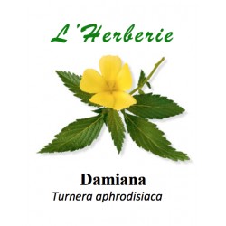 DAMIANA FE CP 100GR