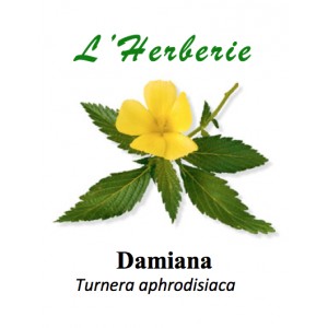 https://www.lherberie.com/2858-thickbox/damiana-fe-cp-100gr.jpg