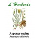 ASPERGE RACINE 100GR