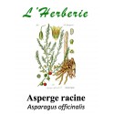 ASPERGE RACINE 100GR