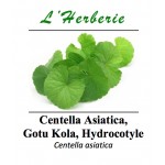 Centella Asiatica, Gotu Kola, Hydrocotyle 100 gr