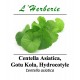 Centella Asiatica, Gotu Kola, Hydrocotyle 100 gr