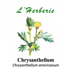 Chrysanthellum Chrysanthellum americanum partie aérienne 100 gr