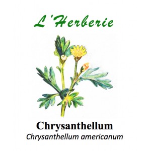 https://www.lherberie.com/3281-thickbox/chrysanthellum-chrysanthellum-americanum-partie-aerienne-100-gr.jpg