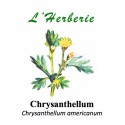 Chrysanthellum Chrysanthellum americanum partie aérienne 100 gr