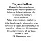 Chrysanthellum Chrysanthellum americanum partie aérienne 100 gr