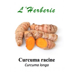 Curcuma racine Curcuma longa 100 gr