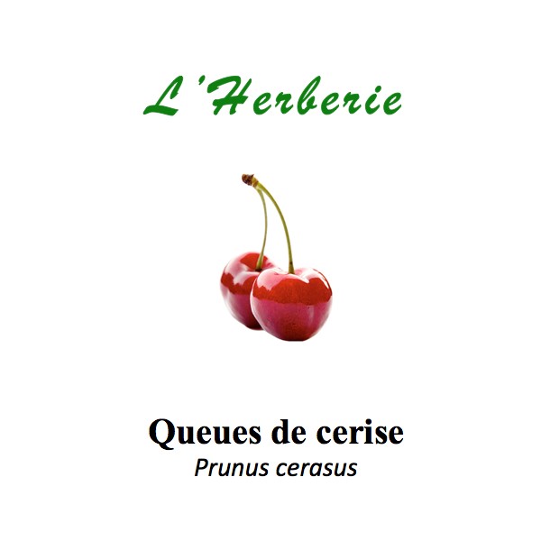 La Queue de cerise, Prunus cerasus - Pharmacie des 3 Forêts