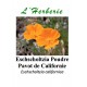 ESCHSCHOLTZIA CALIFORNICA POUDRE 100GR