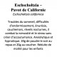 ESCHSCHOLTZIA CALIFORNICA POUDRE 100GR