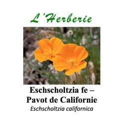 ESCHSCHOLTZIA CALIFORNICA feuilles Pavot de Californie Eschscholtzia californica 100GR