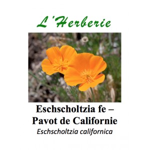 https://www.lherberie.com/3296-thickbox/eschscholtzia-californica-feuilles-pavot-de-californie-eschscholtzia-californica-100gr.jpg