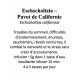 ESCHSCHOLTZIA CALIFORNICA feuilles Pavot de Californie Eschscholtzia californica 100GR