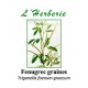 FENUGREC GRAINES 100GR Trigonella foenum graecum