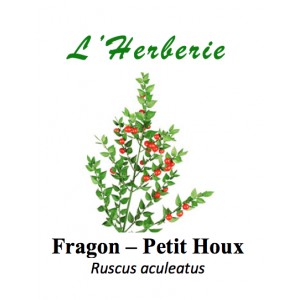 https://www.lherberie.com/3302-thickbox/fragon-racine-petit-houx-coupe-100gr-ruscus-aculeatus.jpg