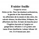 Fraisier feuille Fragaria vesca 100 gr