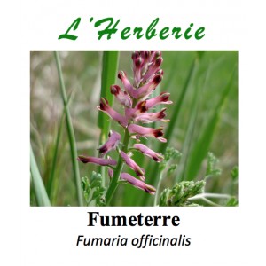 https://www.lherberie.com/3308-thickbox/fumeterre-100gr.jpg