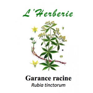 https://www.lherberie.com/3312-thickbox/garance-racine-rubia-tinctorum-100-gr.jpg