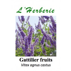 GATTILIER FRUIT 100GR