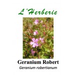 Geranium Robert Geranium robertianum 100 gr