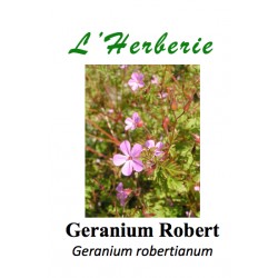 Geranium Robert Geranium robertianum 100 gr