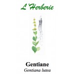 GENTIANE RACINE 100GR