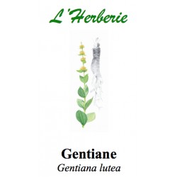 GENTIANE RACINE 100GR