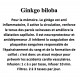 GINKGO BILOBA 100GR