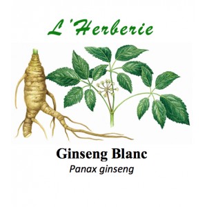 https://www.lherberie.com/3322-thickbox/ginseng-blanc-panax-ginseng-25-gr.jpg