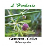 Gratteron - Gaillet  Galium aparine 100 gr