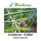 Gratteron - Gaillet  Galium aparine 100 gr