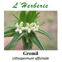 Gremil  Lithospermum officinale 100 gr