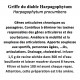 GRIFFE DU DIABLE 100GR HARPAGOPHYTUM