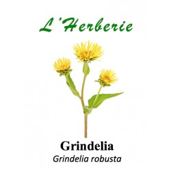 Grindelia  Grindelia robusta 100 gr