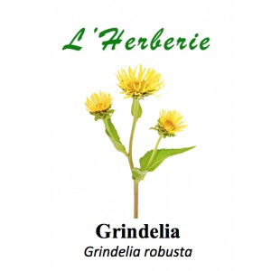 https://www.lherberie.com/3330-thickbox/grindelia-grindelia-robusta-100-gr.jpg
