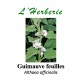 Guimauve feuilles Althaea officinalis 100 gr