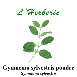 https://www.lherberie.com/3373-thickbox/gymnema-sylvestris-poudre-100gr.jpg