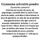 GYMNEMA SYLVESTRIS POUDRE 100GR