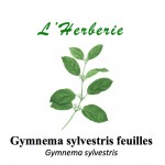 GYMNEMA SYLVESTRIS feuilles 100GR