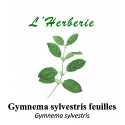 GYMNEMA SYLVESTRIS feuilles 100GR